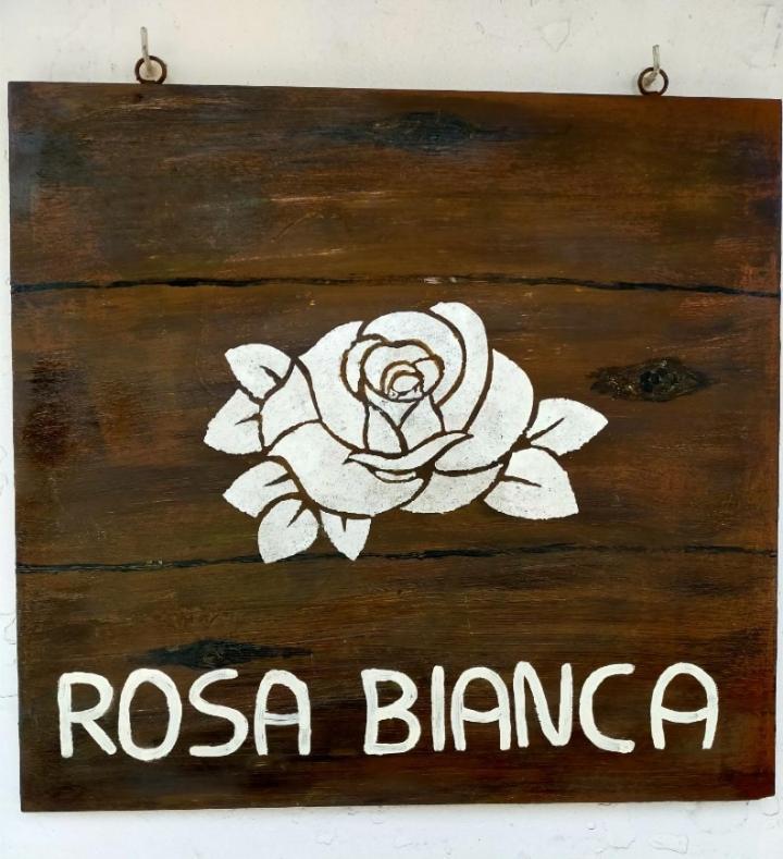Rosa Bianca *
